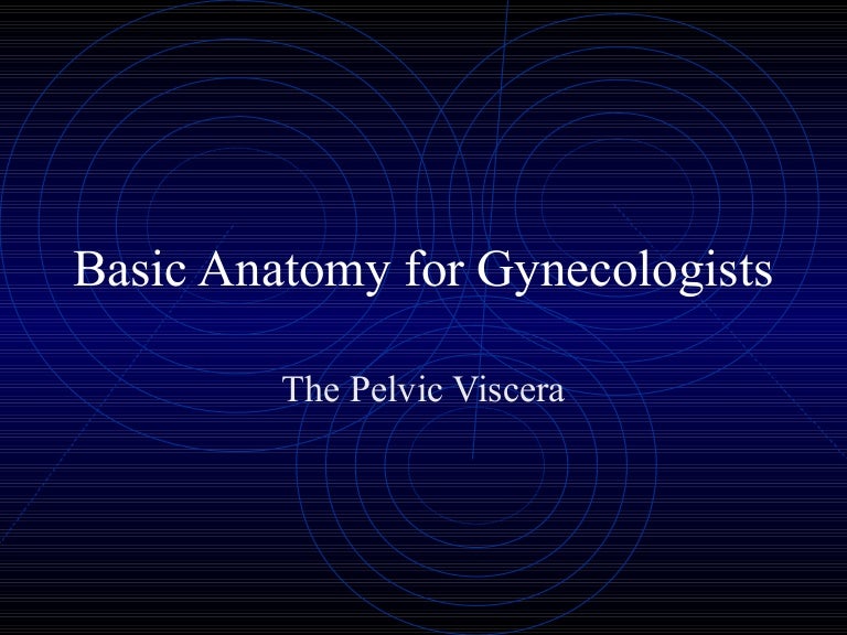 Basic anatomy 3