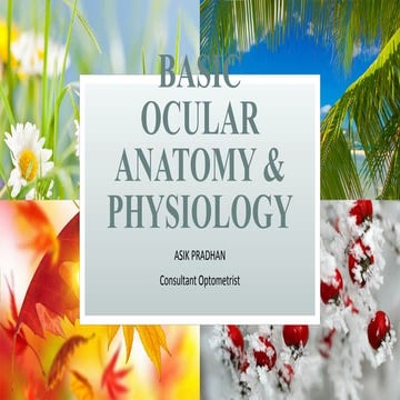 Basic anatomy and physiology