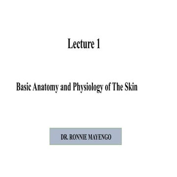 Skin | PPT