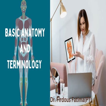 Comprehensive Guide to Basic Human Anatomy and Medical Terminology | PDF