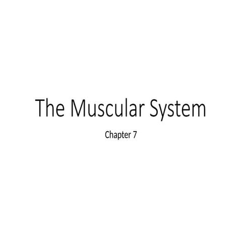 Basic A&P - Chapter 7: Muscular System Powerpoint.pptx