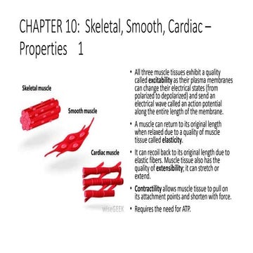 B asic ap chapter 10 powerpoint 2017