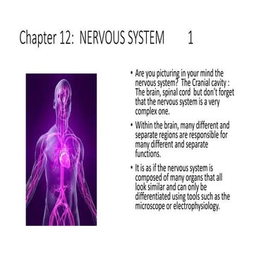 Basic ap chapter 12 powerpoint  2017
