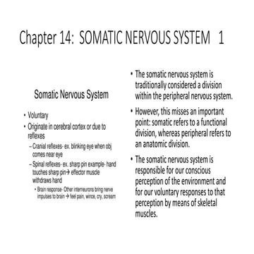 Basic ap chapter 14 powerpoint 2017
