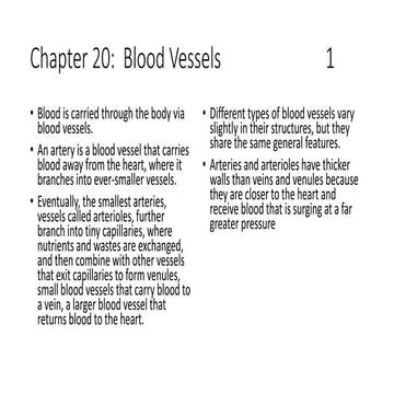 Basic ap chapter 20 powerpoint  2017