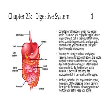 Basic ap chapter 23 powerpoint   2017
