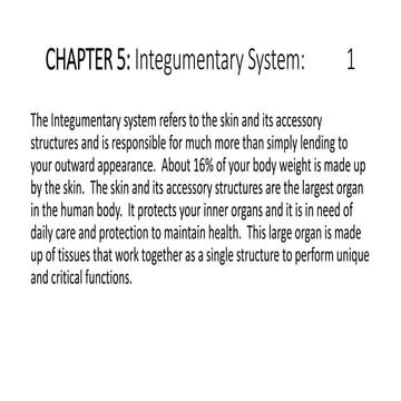 Basic ap chapter 5 powerpoint 2017