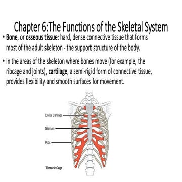 Basic ap chapter 6 powerpoint 2017