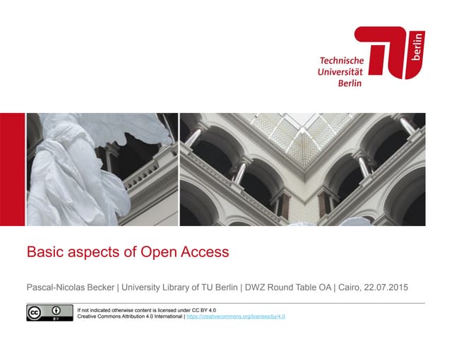 Basic aspects of Open Access
