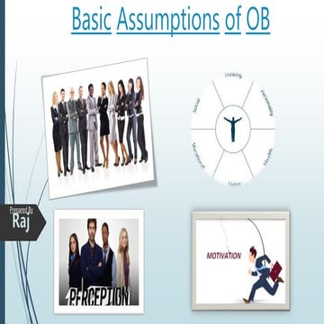 Basic assumptions of_organizational behaviour