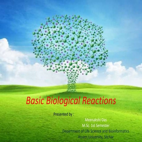 Basic biological reactions