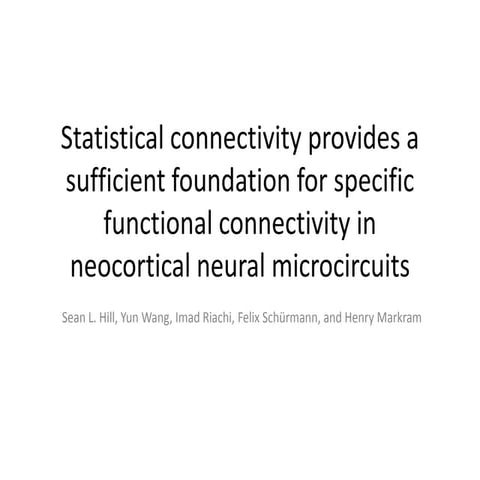 how neurons connect to each others?