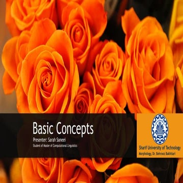 Basic concepts-Sarah Saneei