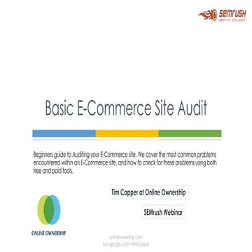 Basic E-Commerce Site Audit