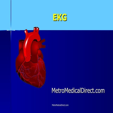 Basic EKG
