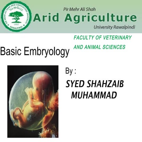 Basic embryology 