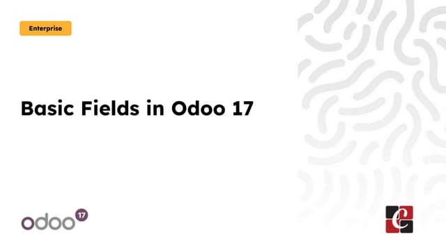 What are the Basic Fields in the Odoo 17 ERP