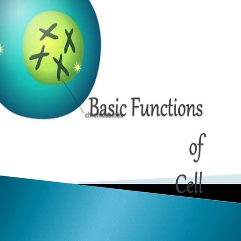 Basic functions of cell