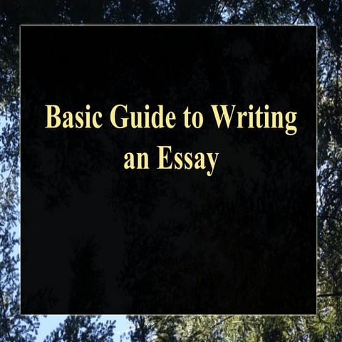 Basic guide to writing an essay