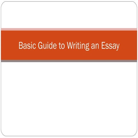 Basic Guide to Writing an Essay