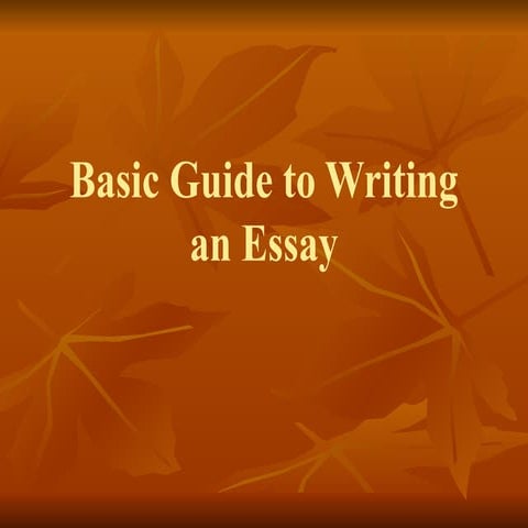 Basic Guide to Writing an Essay aaaaaaaa