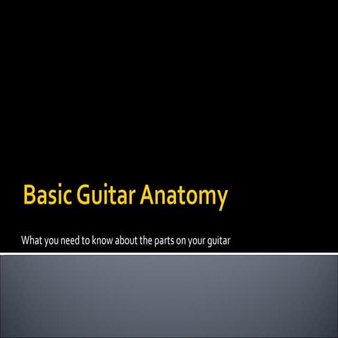 Basic guitar anatomy