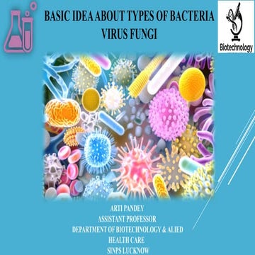 Basic Idea About Types Of Bacteria Virus Fungi