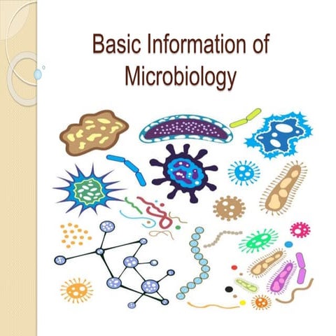Basic Information of Microbiology