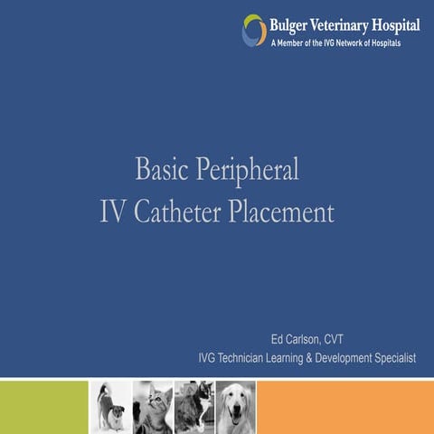 Basic IV Catheter Placement