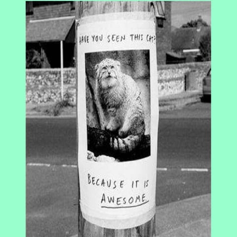 Basic Landscape Design