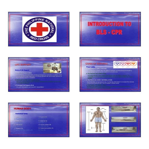 BASIC LIFE SUPPORT PROVIDER MANUAL 2020 visual data 5