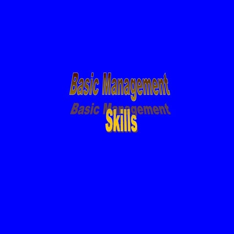 Basic management skills