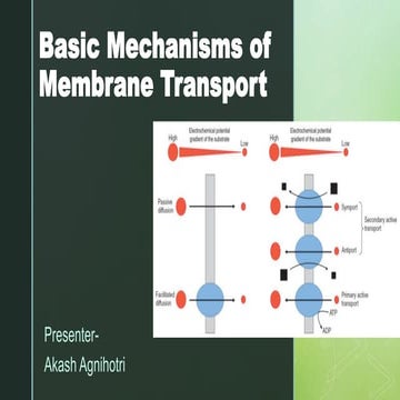 Basic Mechanisms of Membrane Transport