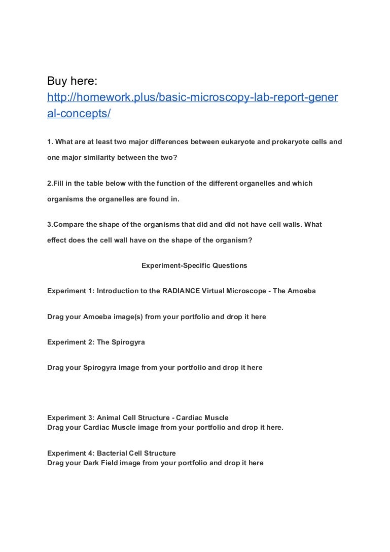 Microscope Lab Report | Laboratory Techniques | Glass ...