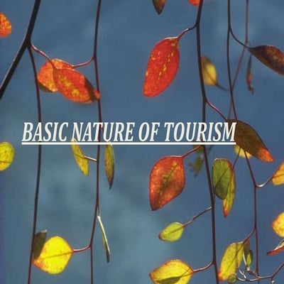 Basic nature of tourism