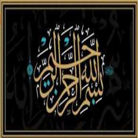 Basic needs of poultry farming