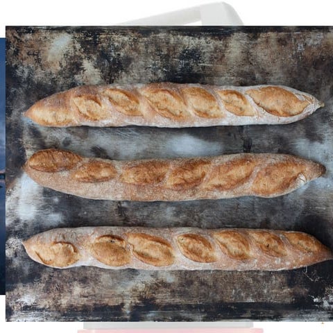 nothing here to seeeeeeeeeeeeeeeeeeeeeeeeeeeeeeeeeeeeeeee