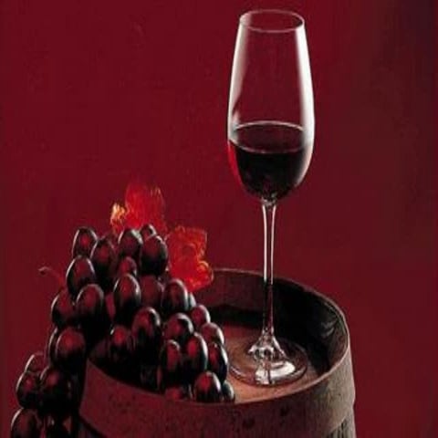 Treinamento básico para vinhos e wine ….