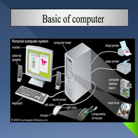 Basic Concepts Of Information Technology (IT)