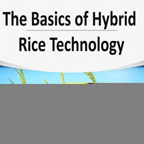 Three line system of hybrid seed production | PPTX