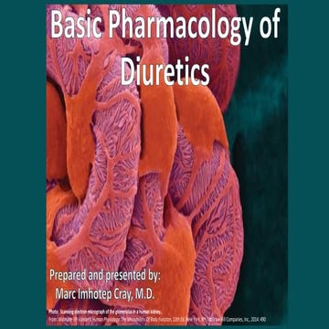 Basic Pharmacology of Diuretics