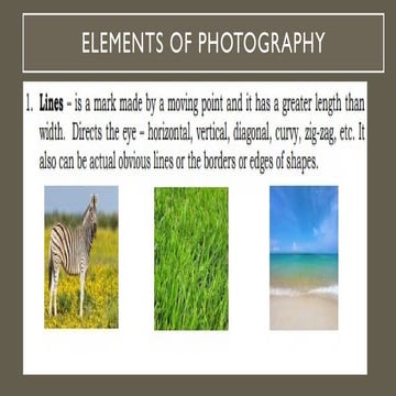 BASIC PHOTOGRAPHY for grade six learners-k to 12 based