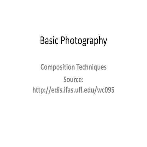 Basic photography   composition techniques