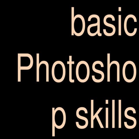 Basic Photoshop Skills