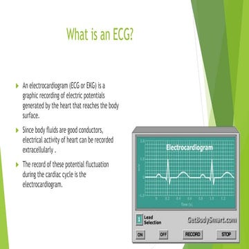 Introduction to ECG
