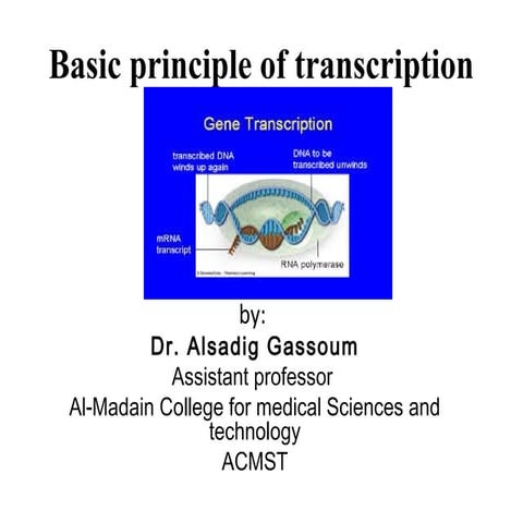 Basic principle of transcription