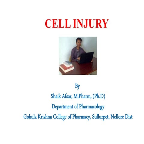 Basic principles of cell injury