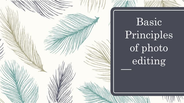 Basic principles of photo editing
