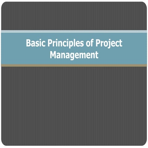 Basic Principles of Project Management | PPT