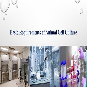 Basic Requirements of Animal Cell Culture.pptx